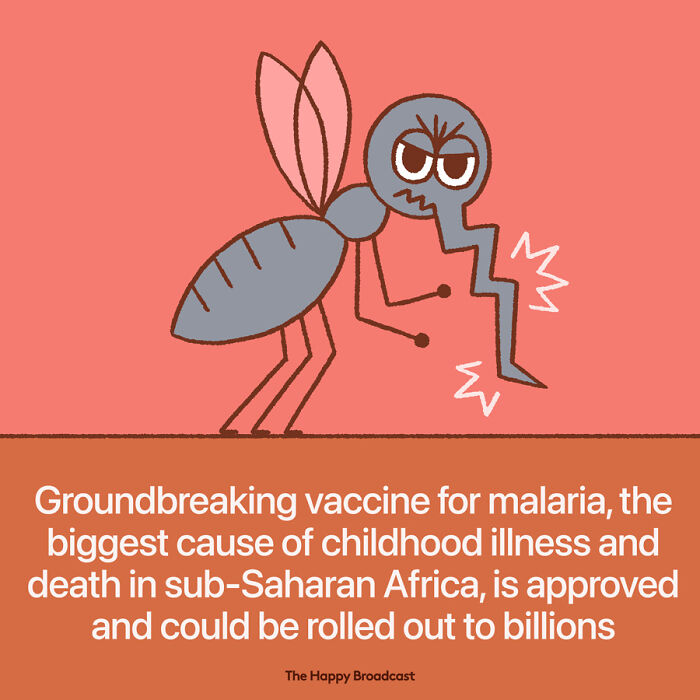 2021年世界各地的40个好消息，在沉重的一年，也能看到一些阳光