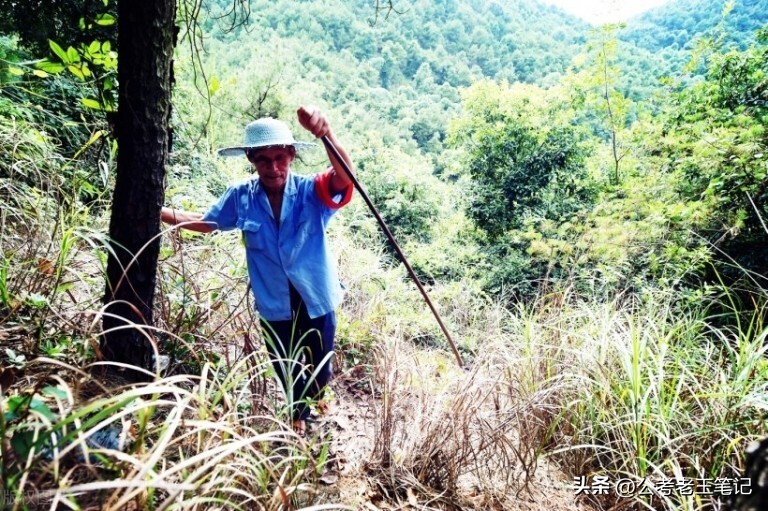 体制内三大好岗位,三种体制内临时岗位