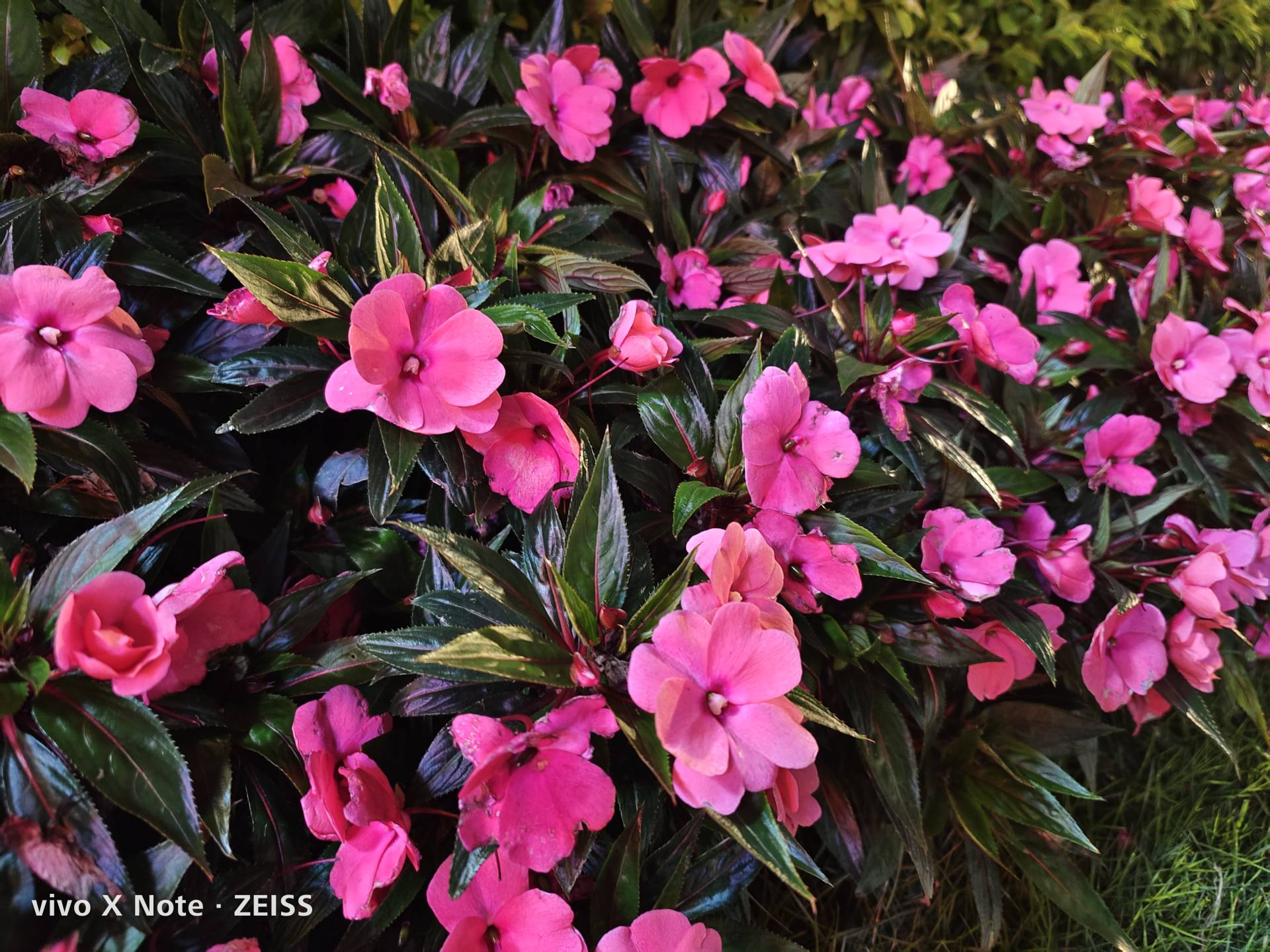 vivoxnote评测,vivoxnote实用体验