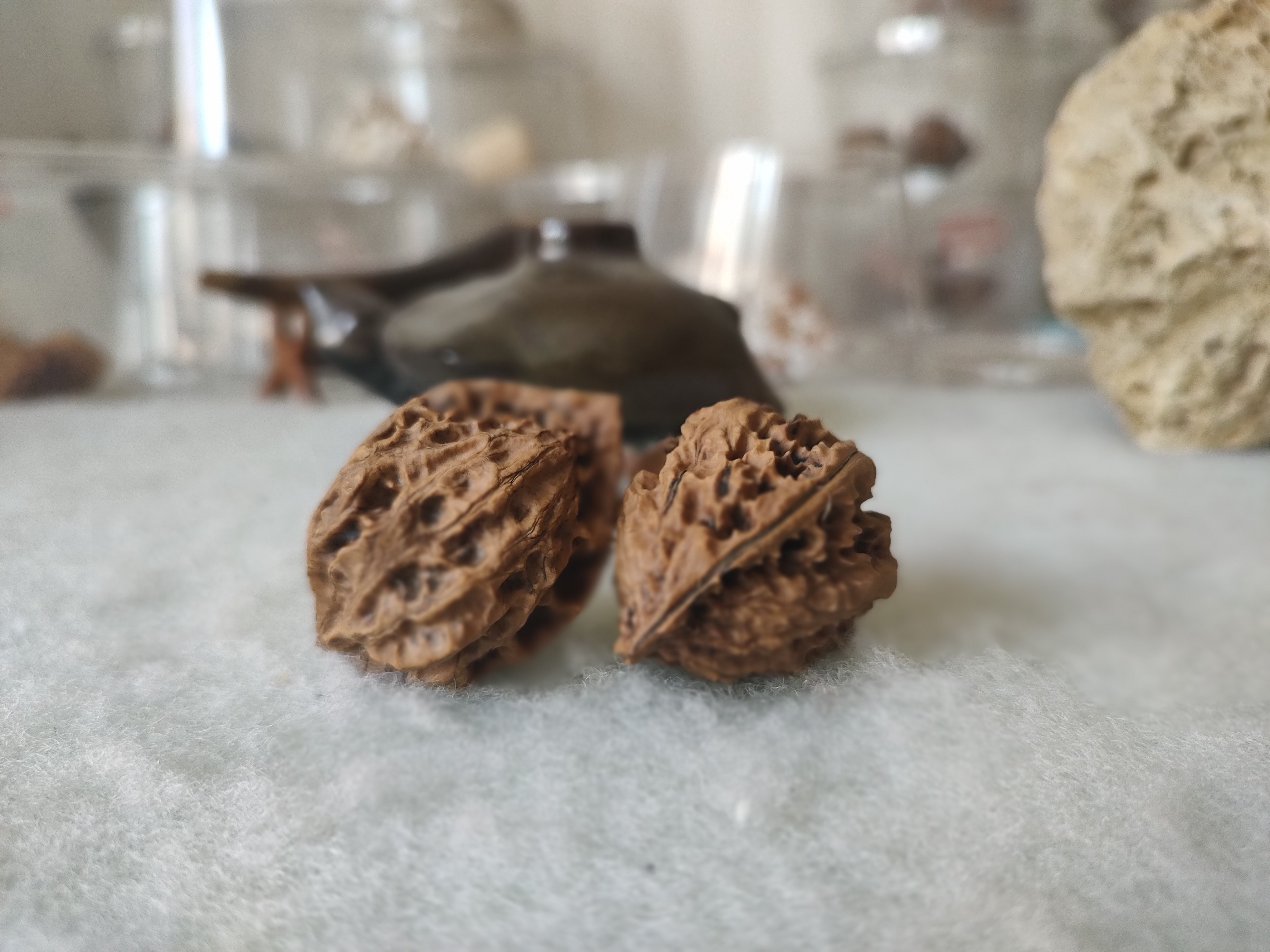 陕西官帽文玩核桃,文玩核桃秦岭官帽