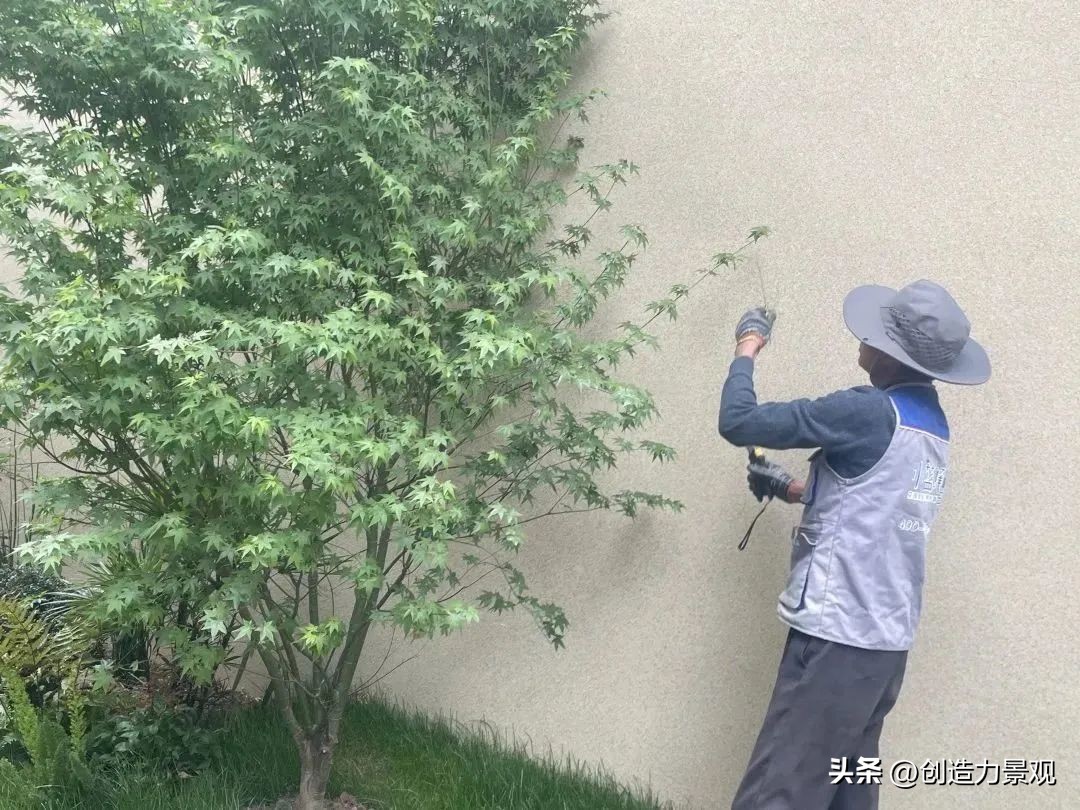 “满园春色”老客户回访日——最美人间四月天，不负*光春**不负你