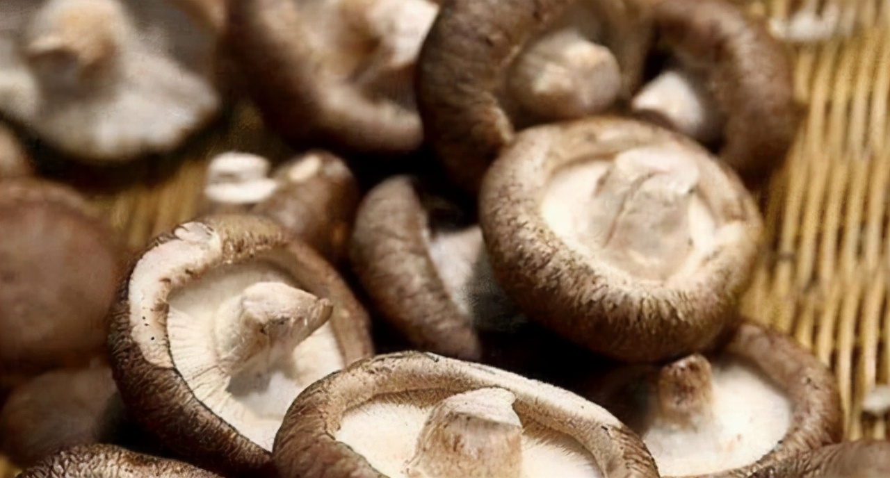 高血压天敌,高血压的天敌决明子