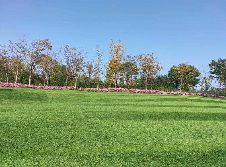 摔倒了怎么补救,摔倒以后尾椎疼痛