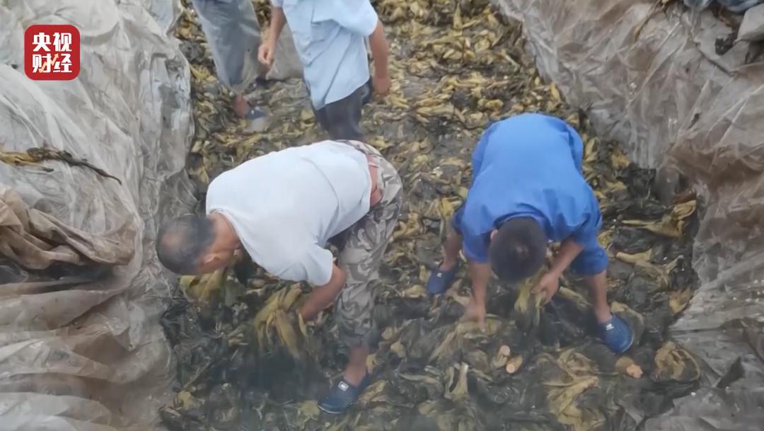 这些315曝光过的坑你踩过哪些,315曝光视频回放