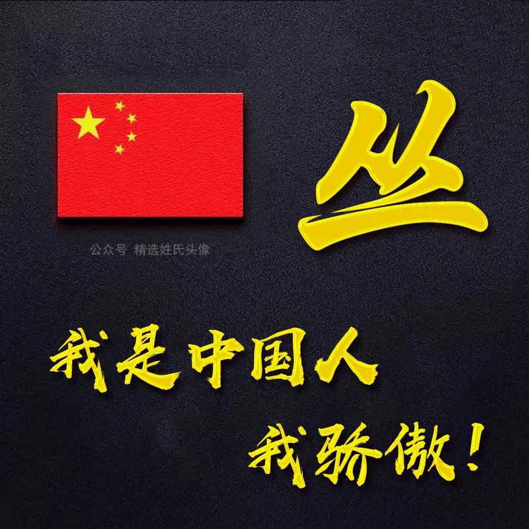 带有五星红旗的爱国头像,五星红旗加曹姓氏头像