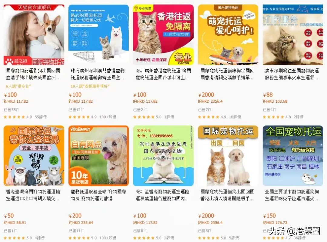 我从内地偷渡到香港的宠物，半路被水警抓走了