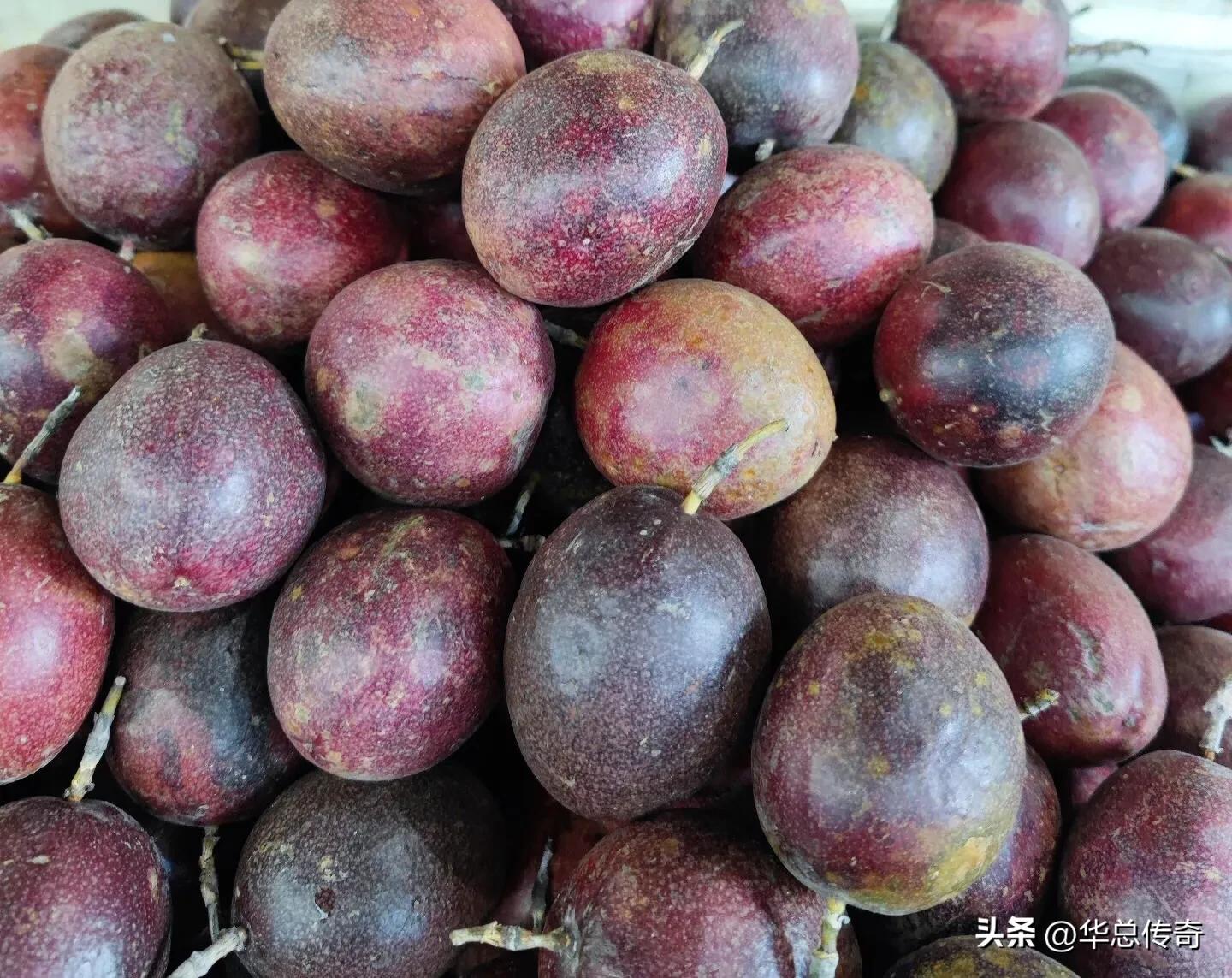 海南的蔬菜水果为什么贵,海南省哪个市的水果最便宜