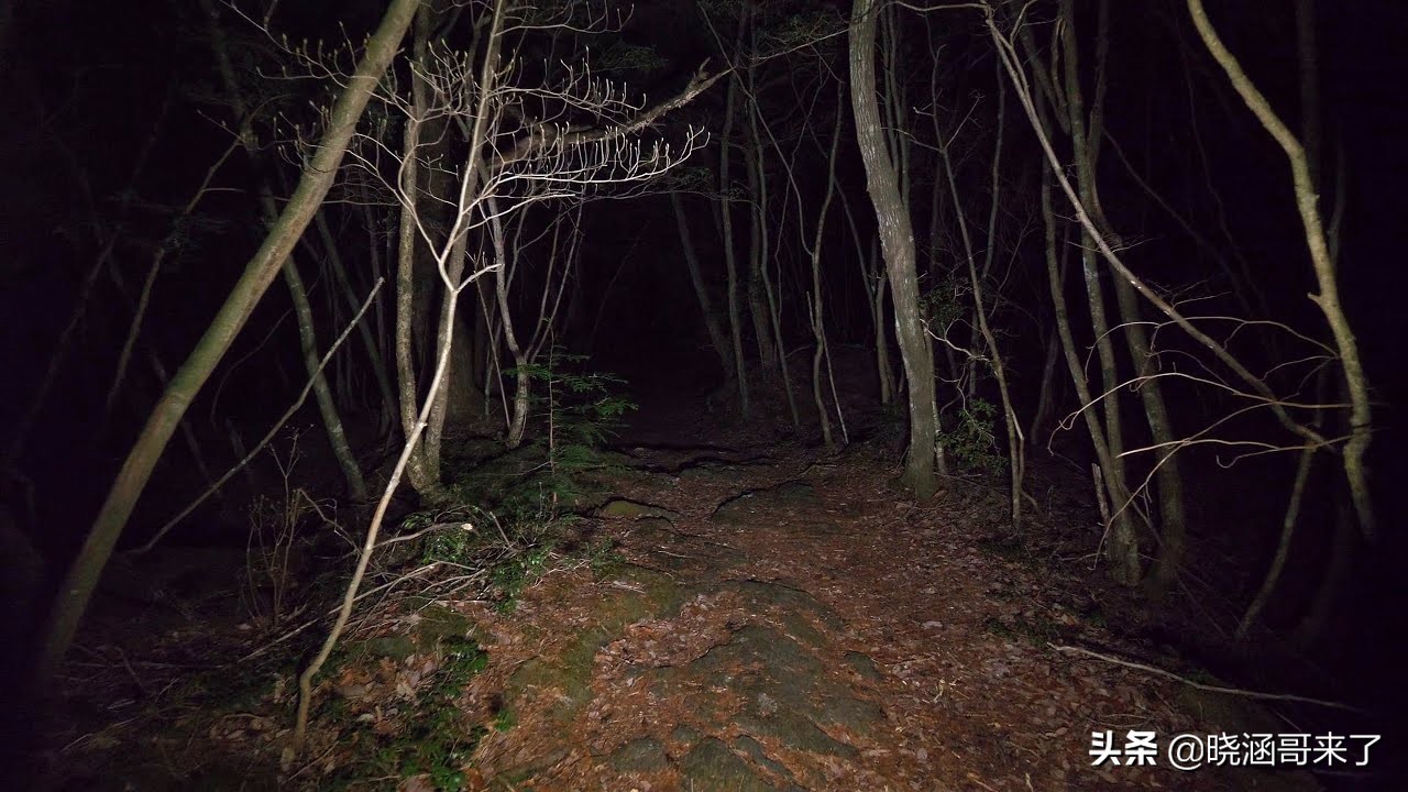 朝鲜“脱北者”是如何穿越朝韩边境的？