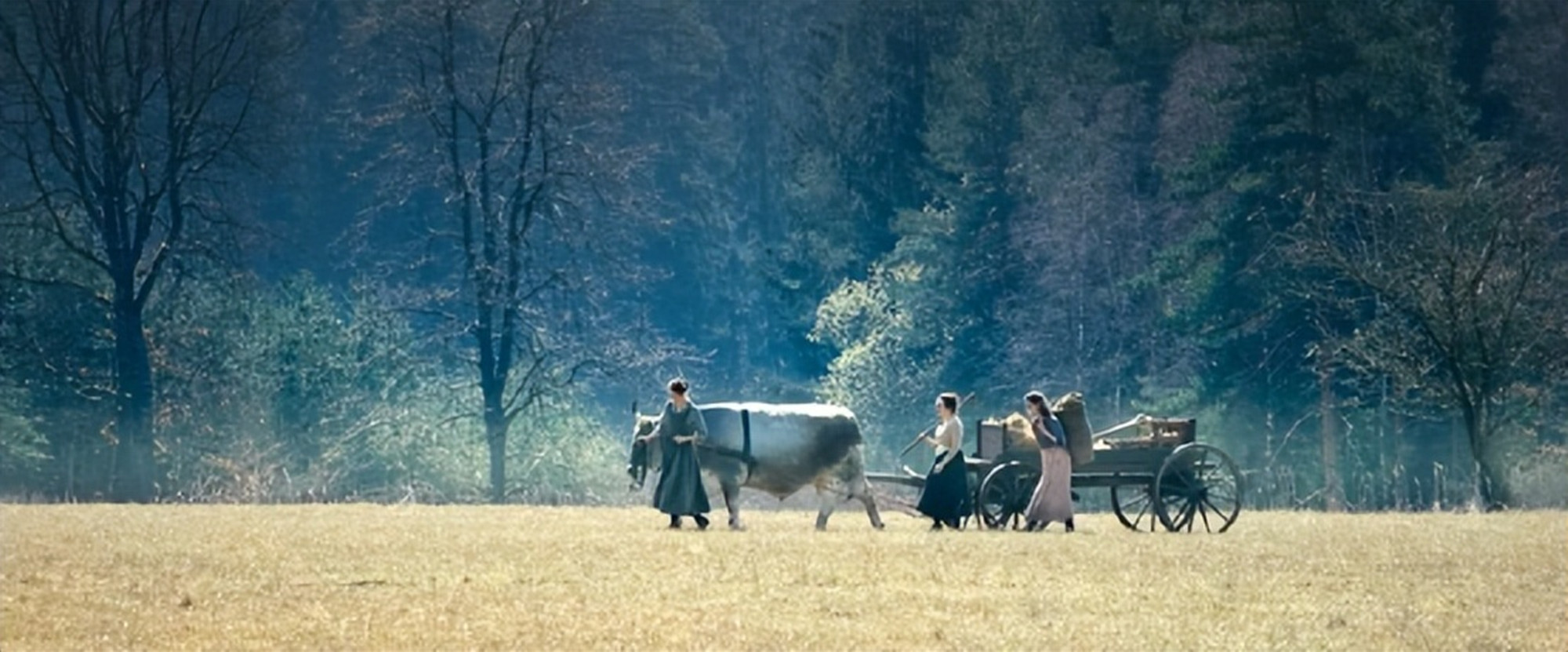 一上映就登票房榜首看完大呼过瘾,首播便拿下收视第一