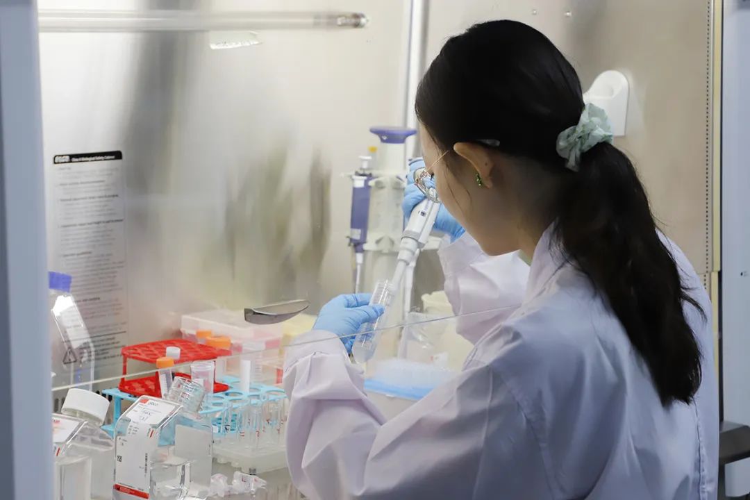 北京韩美药品有限公司顺义分公司,顺义韩美药品有限公司租房子