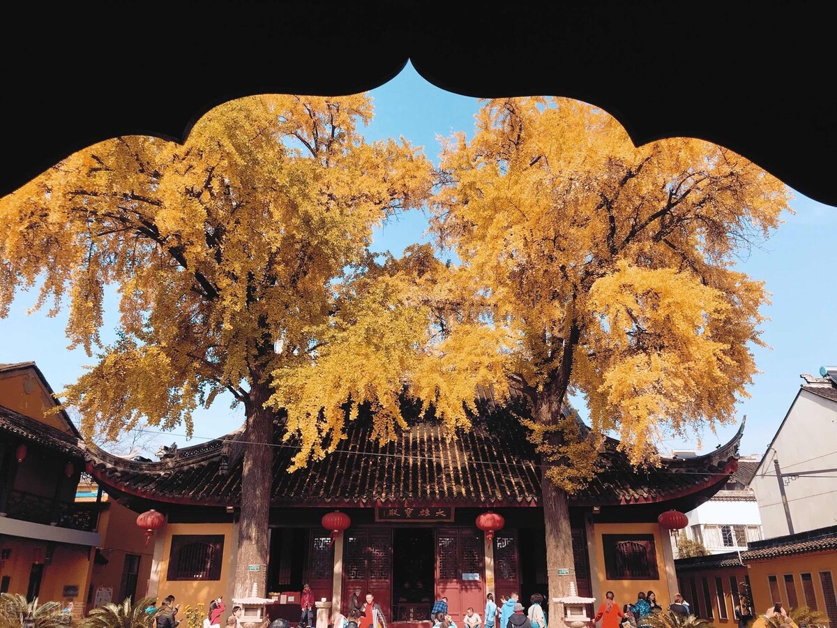 秋天的苏州必去的景点,苏州秋天小众景点推荐