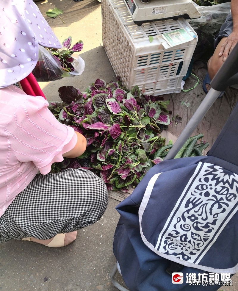 每天必去的农贸市场,农贸市场的慢游记