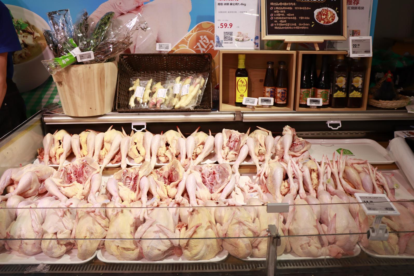 入伏吃鸡,三伏天入伏吃鸡