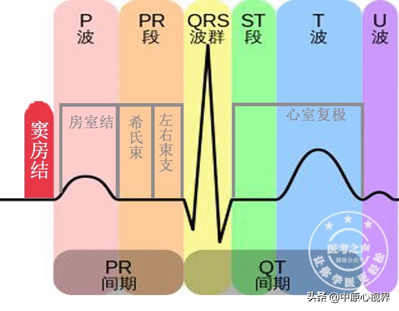 护考几种常见的心电图,常见的心电图图形分析