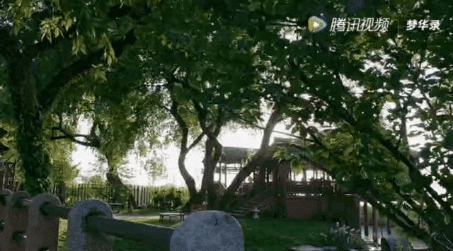 梦华录破亿预告片,刘亦菲梦华录在哪里