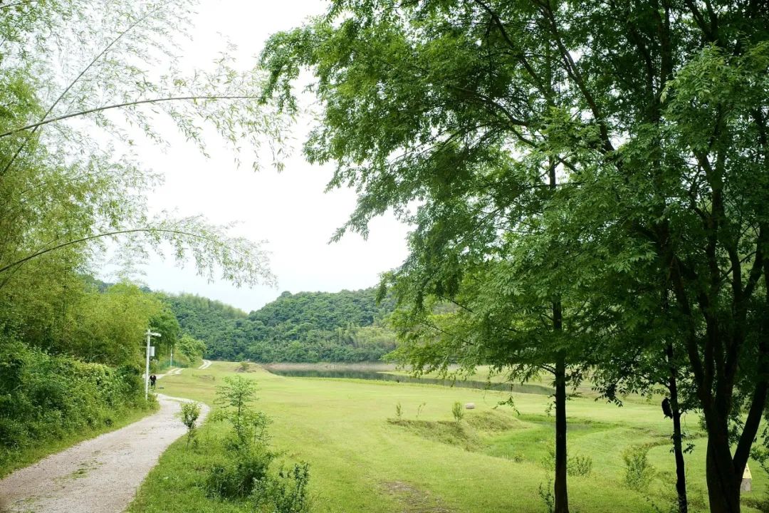 浙江市区度假酒店推荐,浙江轻奢酒店值得推荐