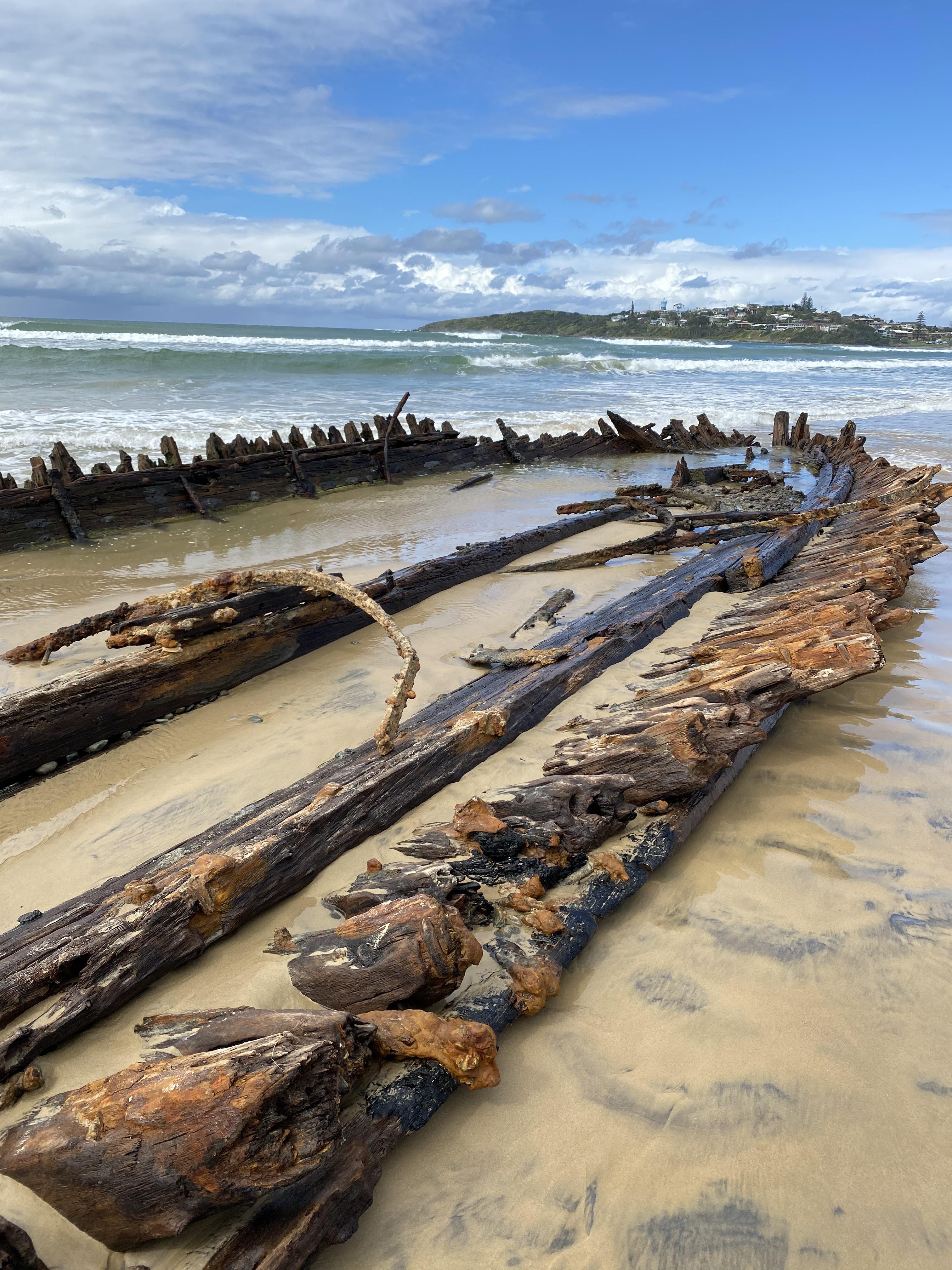 在澳大利亚你可以发现什么,澳大利亚到处能看到动物