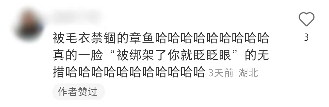 jellycat所有款式,给jellycat海盗狗起名