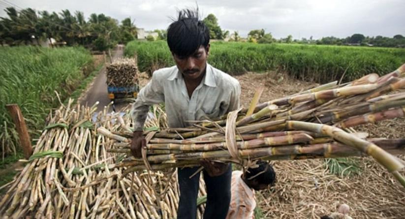 月经耽误工作怎么办？每年有10万印度女人割掉子宫，只为多挣钱！