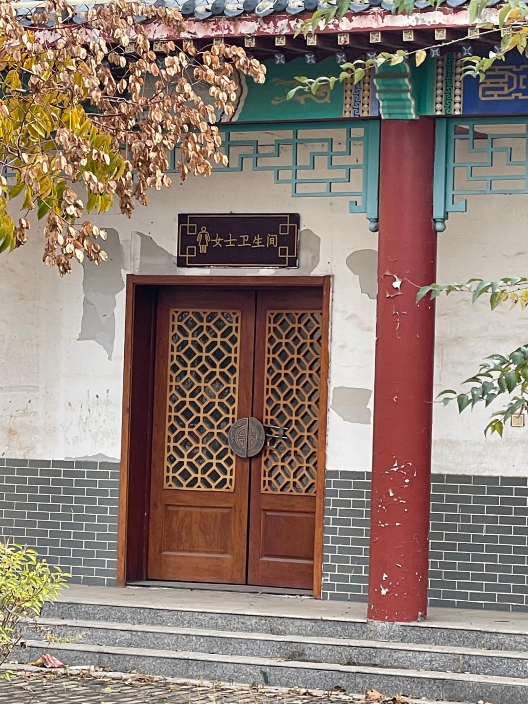 董董骑行山东,懂懂骑山东