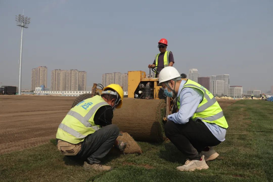 大连梭鱼湾专业足球场座位图,梭鱼湾足球场草坪更换