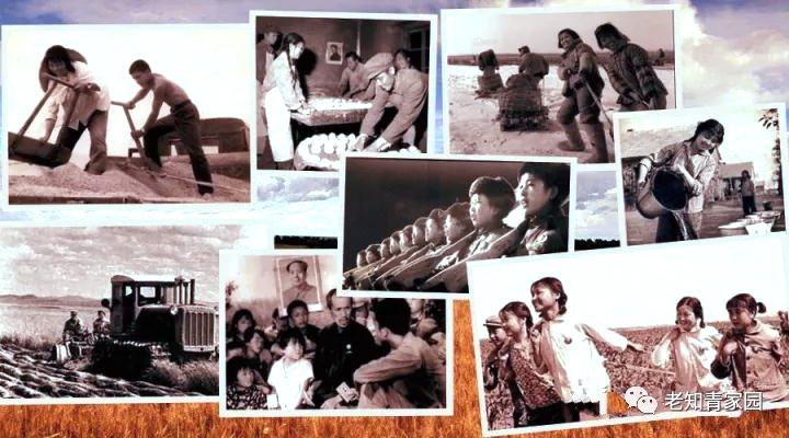 北大荒知青生活叙事诗——北大荒“游击词”100篇