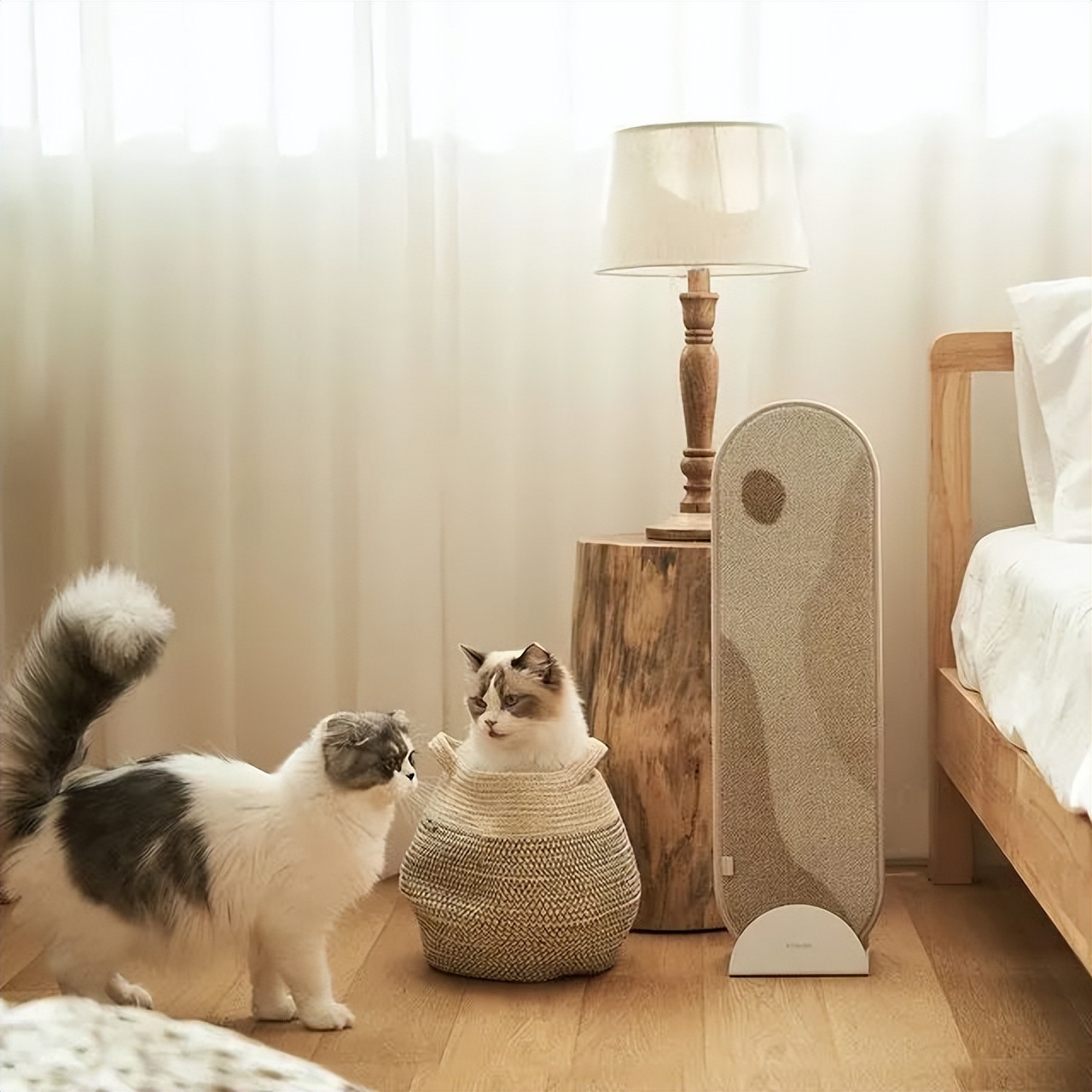 为宠物而设计,极简宠物产品