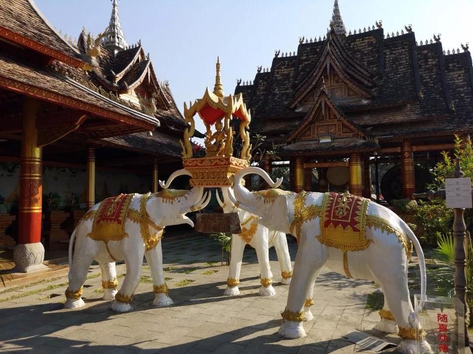 云南西双版纳旅游攻略app,云南西双版纳旅游攻略自由行12月