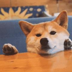 中国人下南洋如何白手起家,白手起家的人特征