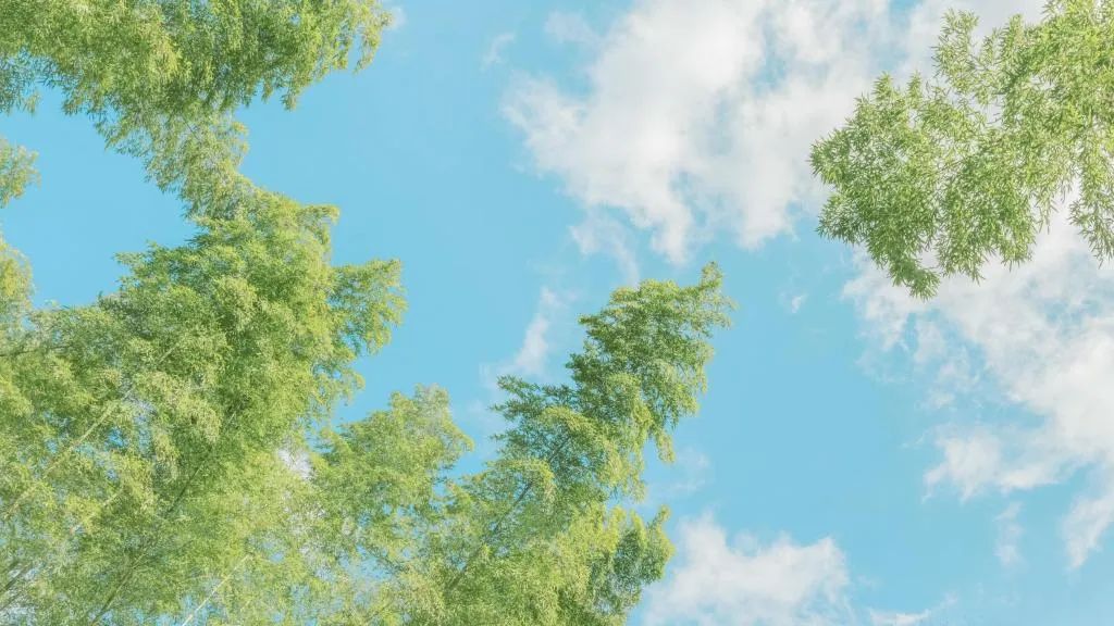 【期末复习】那一刻，我长大了（五年级下第一单元作文范文29篇）