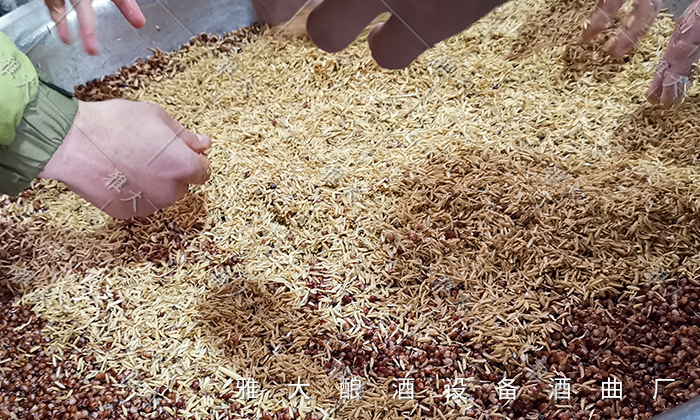 蒸馏法自酿白酒是什么香型,家用酿酒设备高粱酒的蒸馏过程