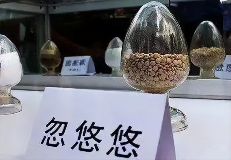 百日行动零容忍零懈怠零战果,百日行动近尾声