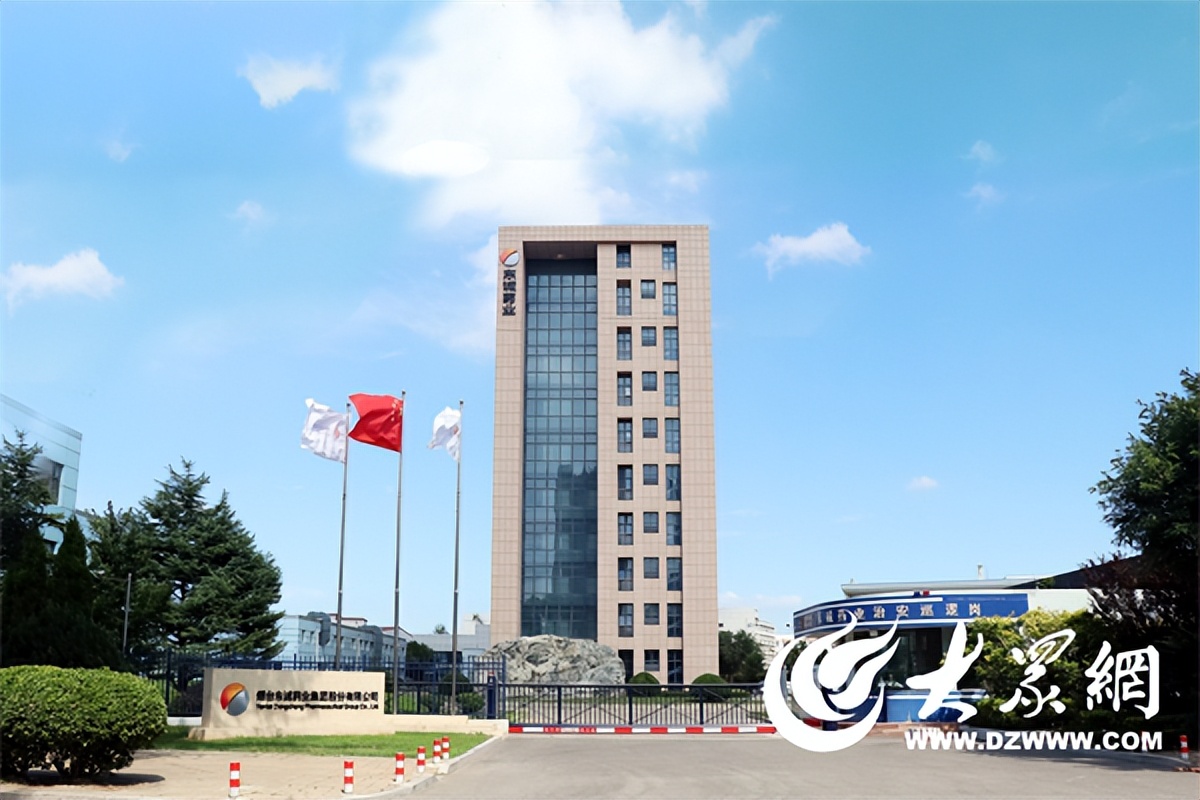 东诚药业制剂事业部,东诚药业主要涉及哪方面