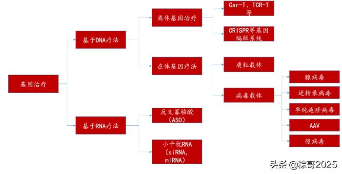 降维打击！全新的前沿赛道，注定占据未来高点的一批生科公司
