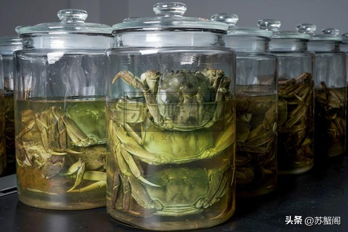 150元一个大闸蟹,正宗大闸蟹大概多少钱一只