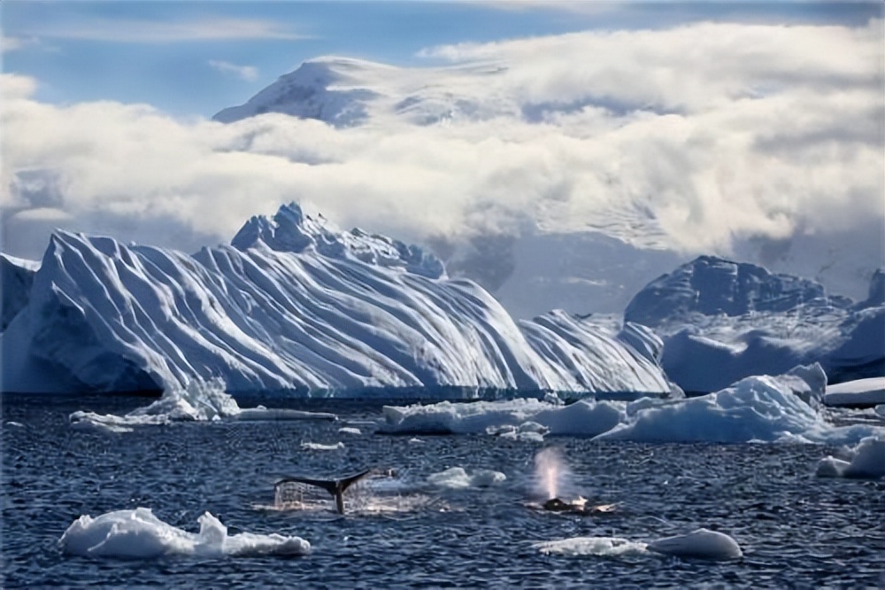 地球环太平洋地震带,如果地球发生大地震会怎么样