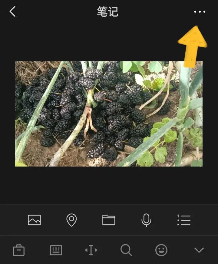 微信朋友圈怎么打开使用,微信朋友圈使用技巧大全图解