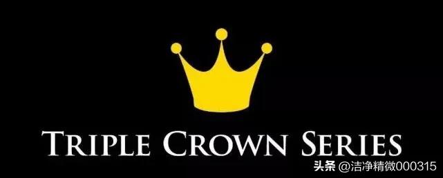 丁俊晖职业生涯多少个冠军,丁俊晖职业生涯拿过多少次冠军