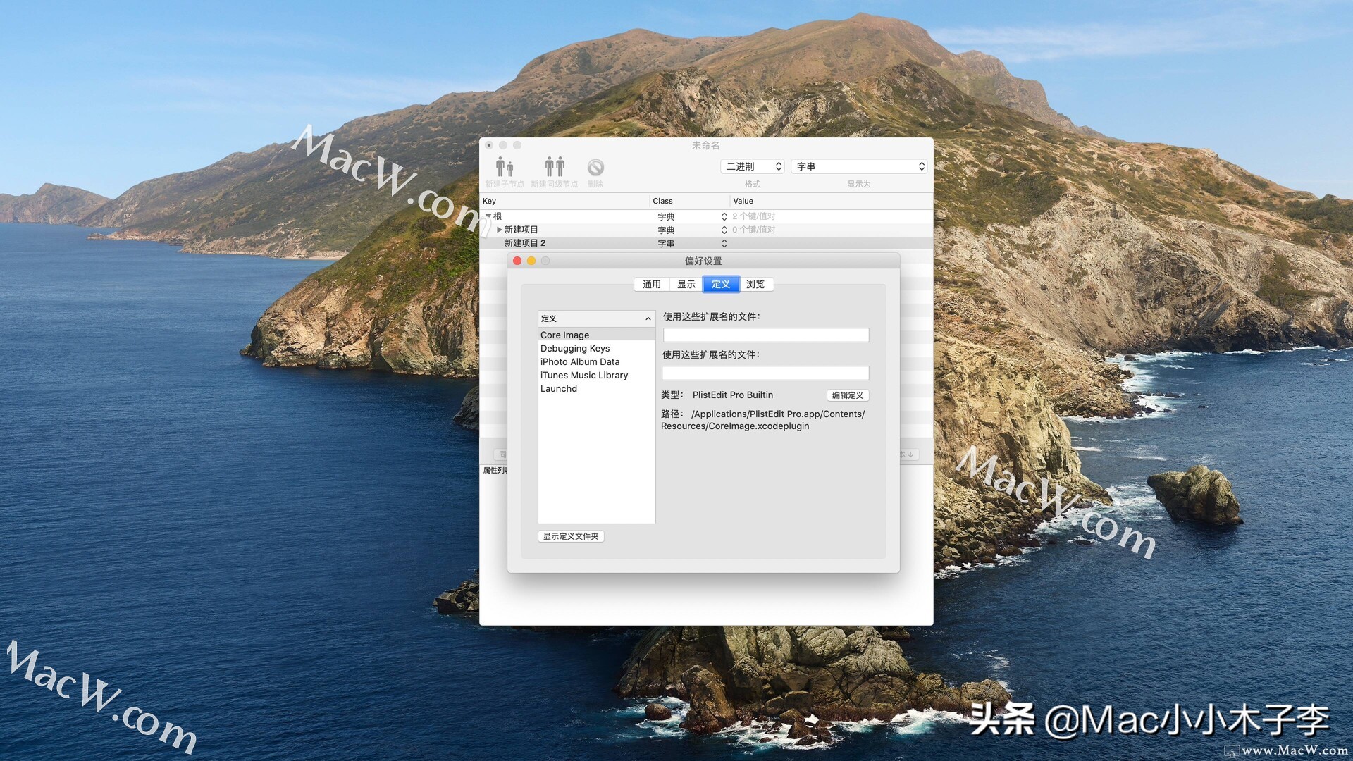 软件开发汉化必备工具PlistEditPro