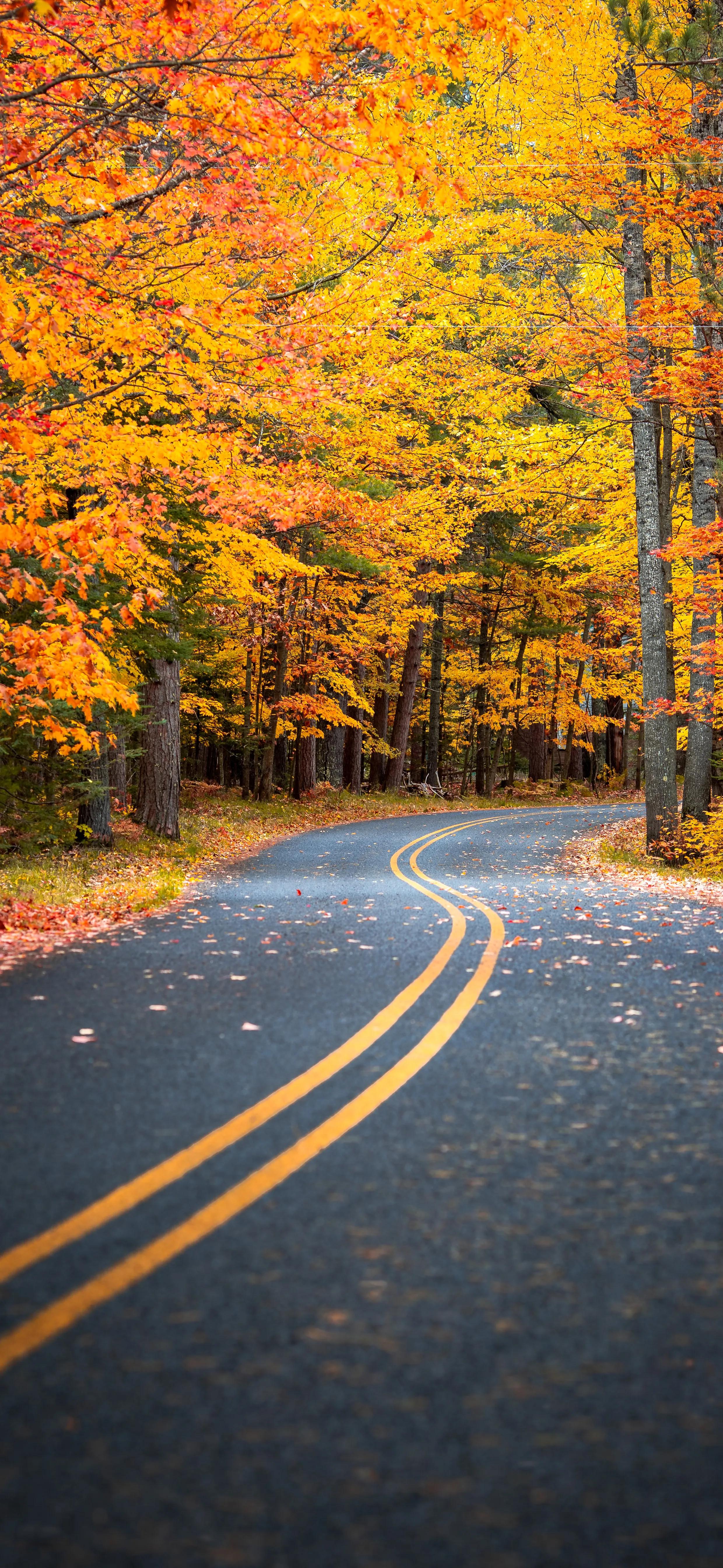 壁纸分享，愿岁月静好，不忘初心