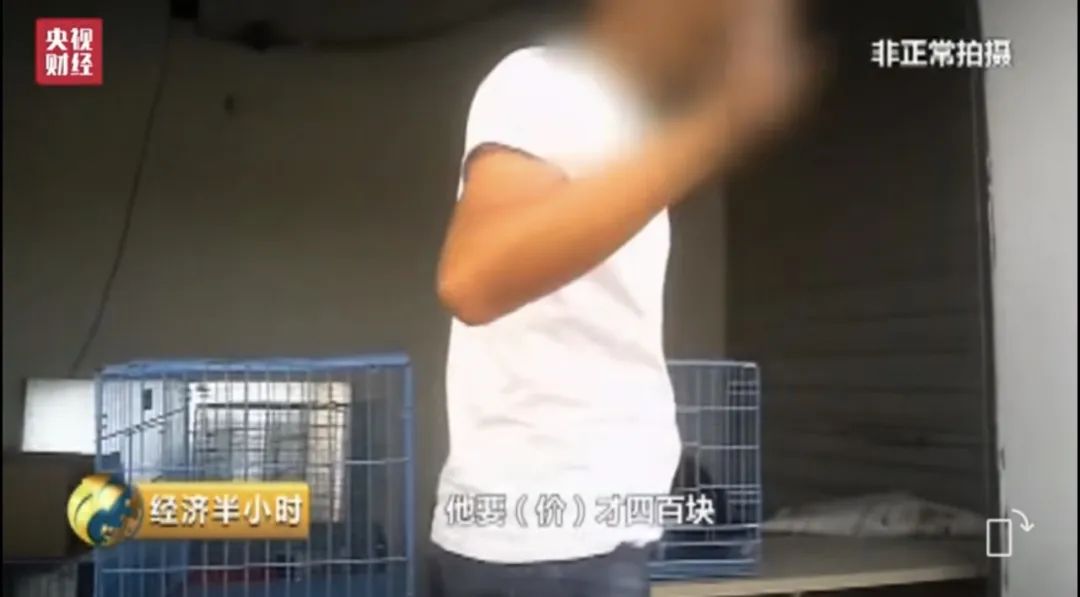 她惨死却热搜下架，你们满意了？