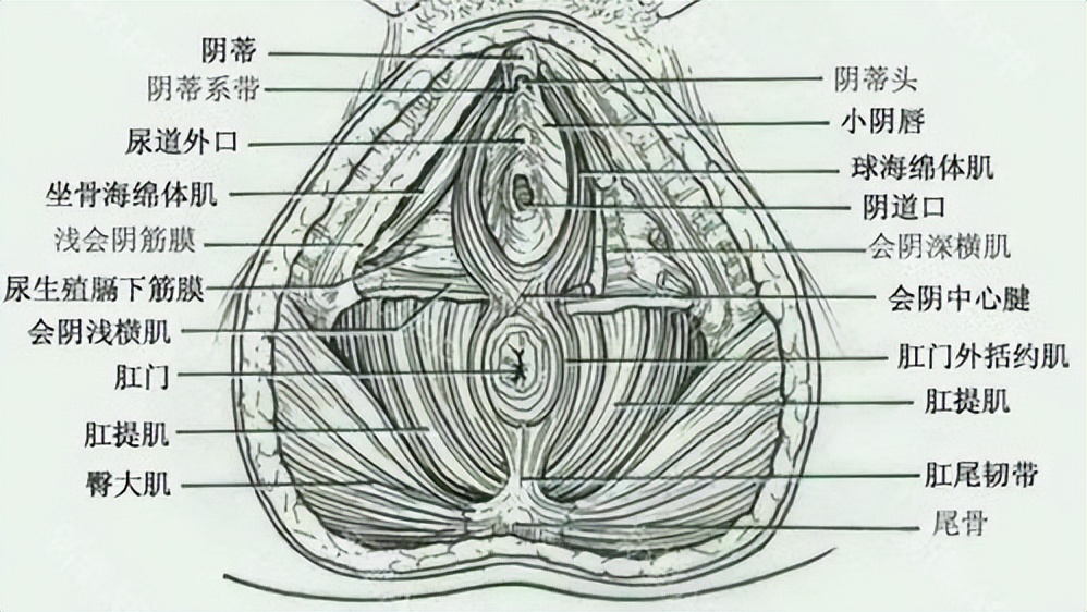 爱干净是好事还是坏事,爱干净的好处和坏处