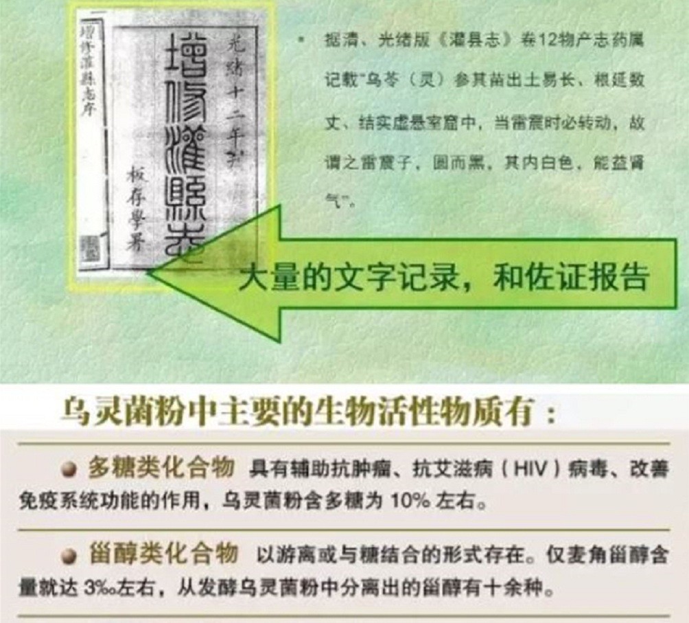 白蚁家族中的大熊猫,白蚁培育的黑色菌类