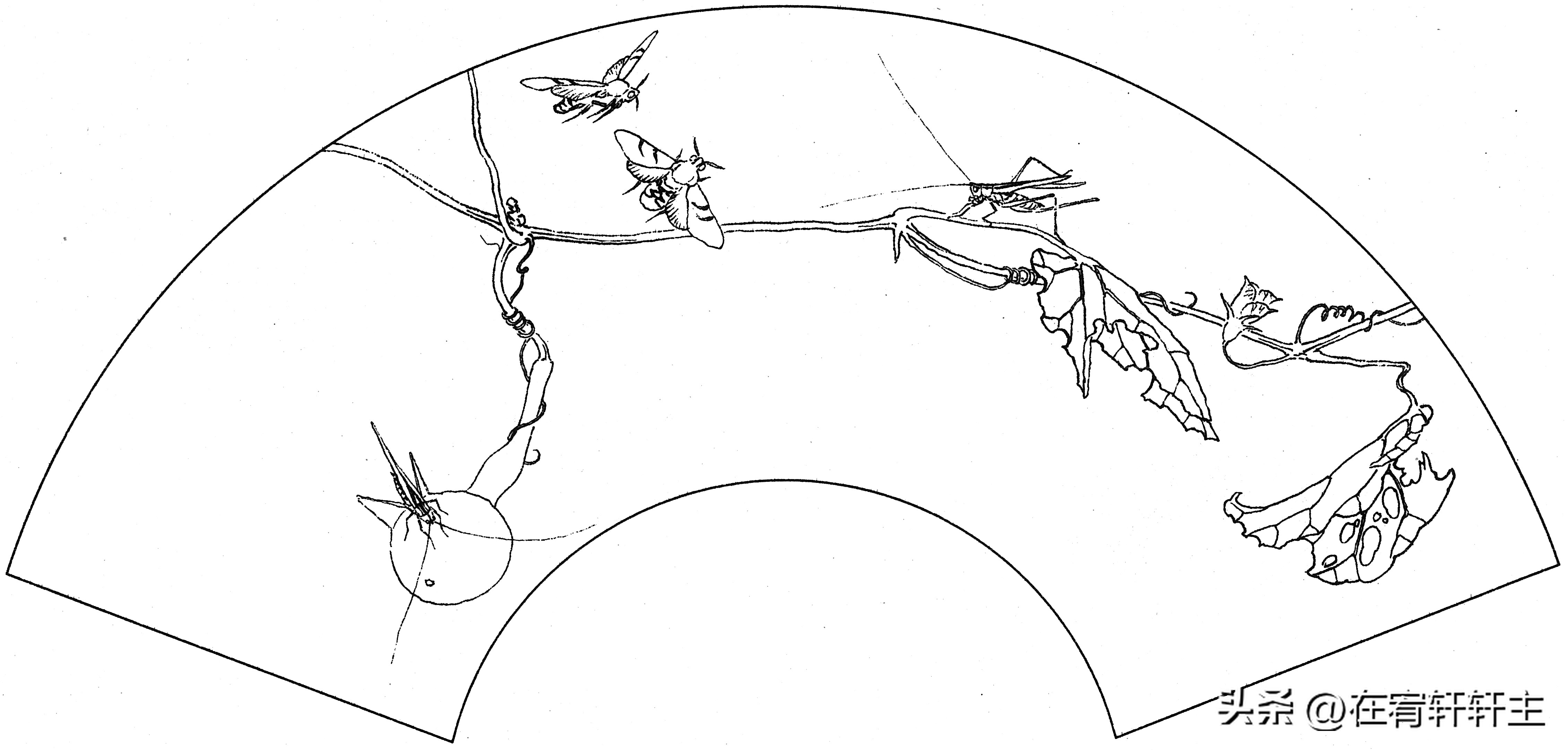 工笔白描祥云图案扇面,工笔扇面葡萄白描图片