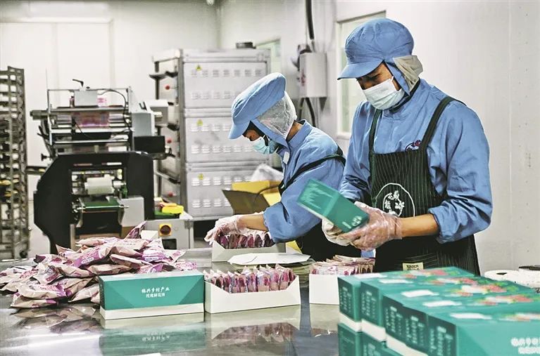 玫瑰开出“新希望”我州这个村致富有“花”招