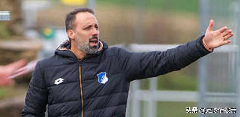 德甲拜仁对霍芬海姆的足球比赛,德甲拜仁vs霍芬海姆事件