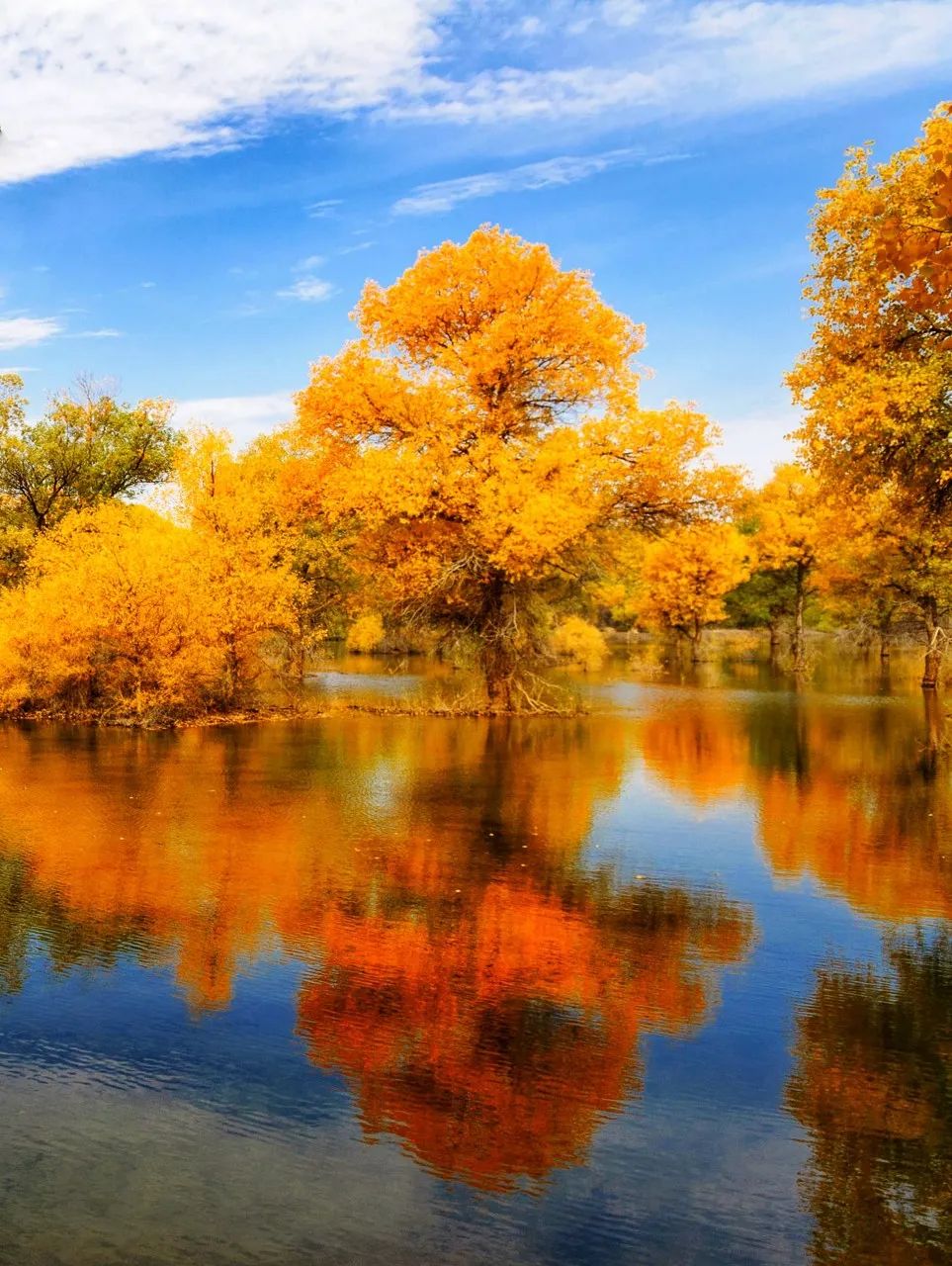 隐姓埋名于甘肃！它是中国最神秘“城市”，代号“404”，却值得所有人记住......