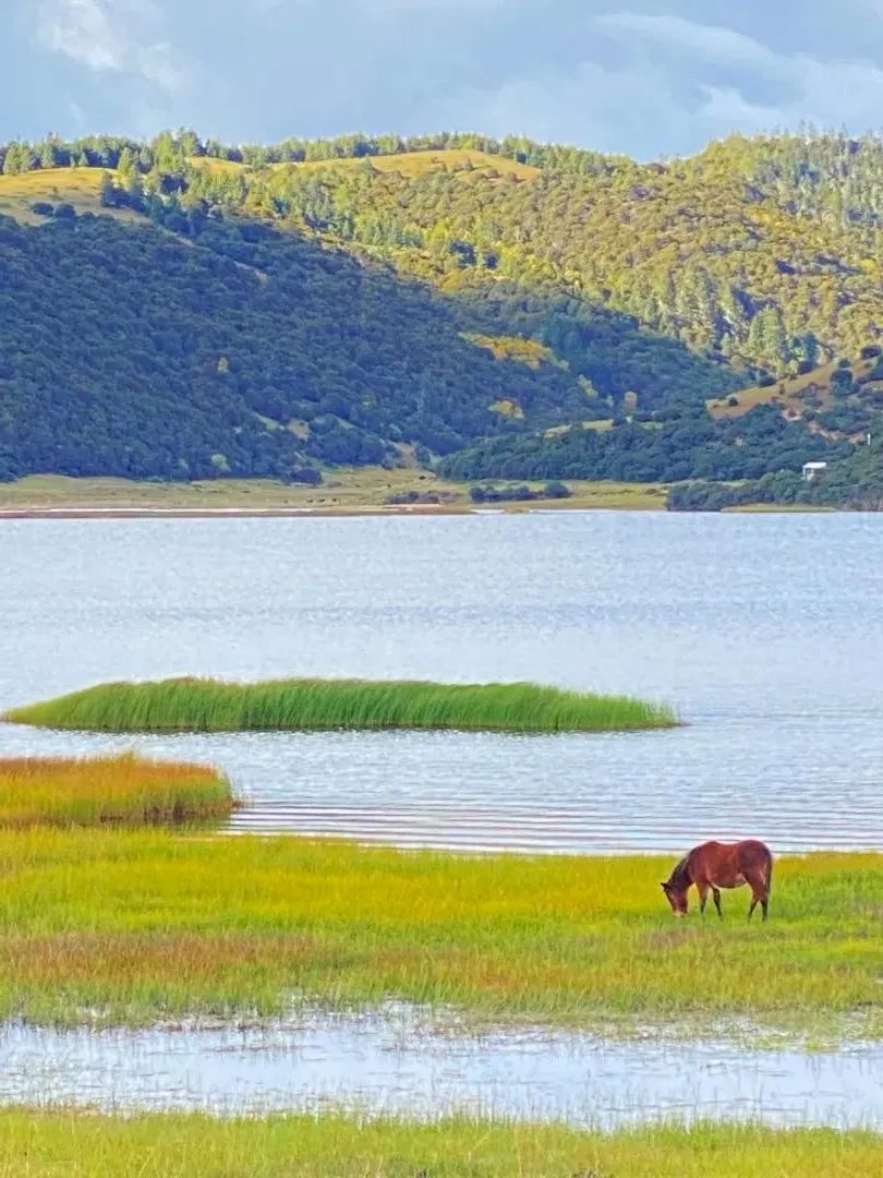 尼汝秘境,香格里拉尼汝村徒步环线图