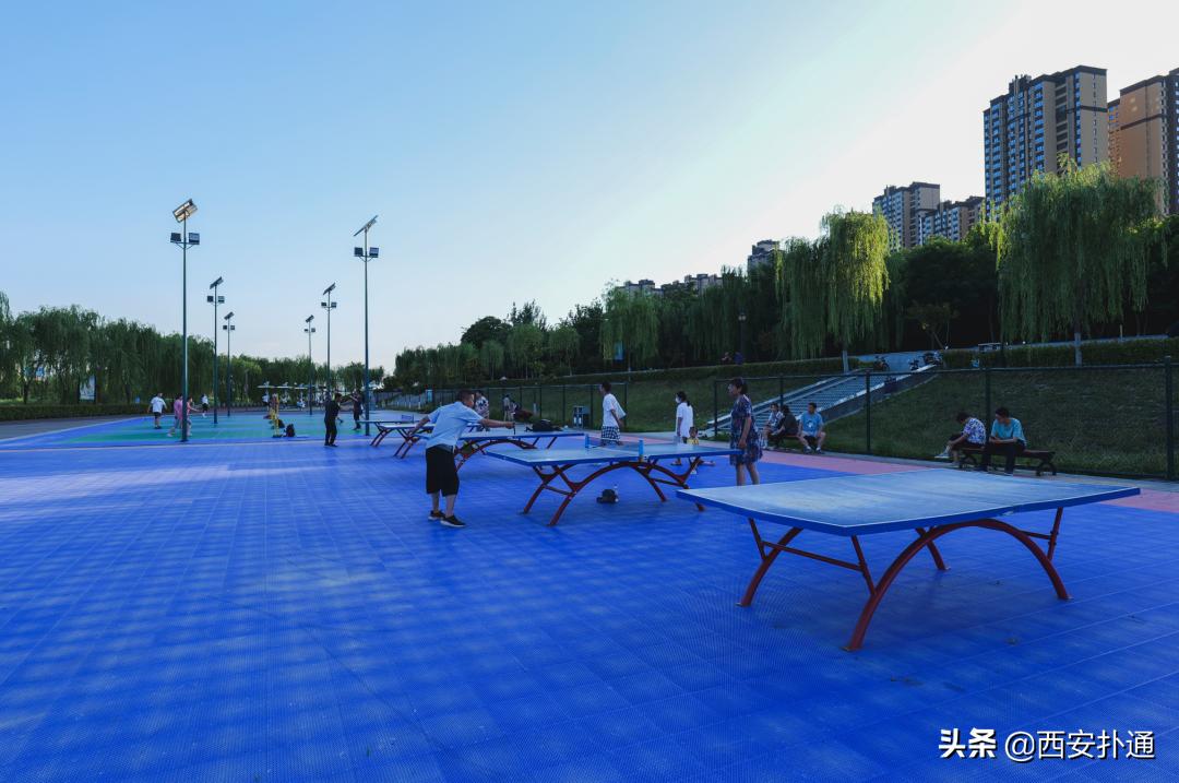 西安最大花海公园,西安周边的自然景观公园