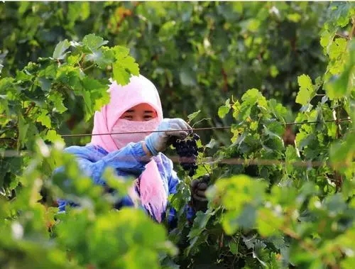 路漫漫其修远兮回归方寸之间,路漫漫其修远兮感悟